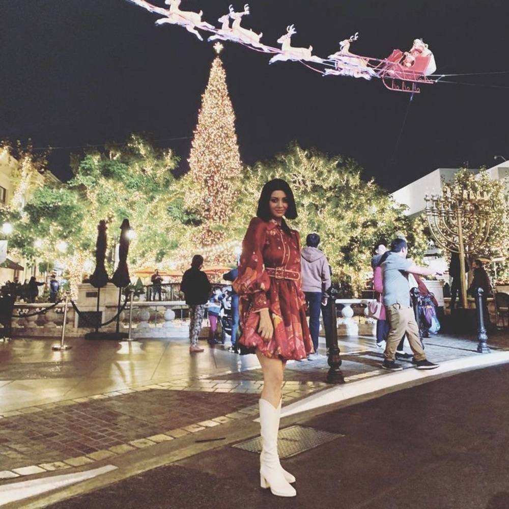 Size 2 us Zimmermann dress